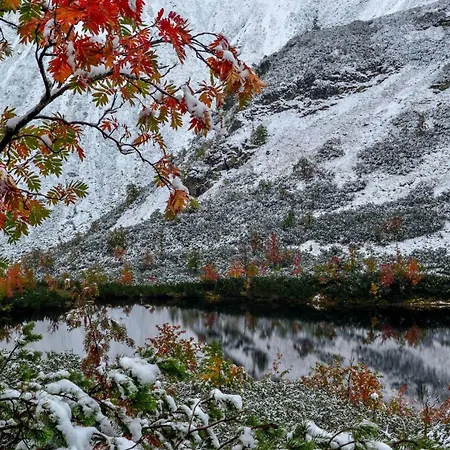 Pensjonat Drevenica 3*