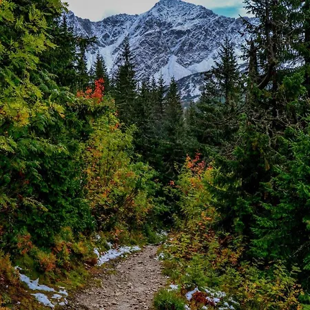 Drevenica Pensjonat Habówka