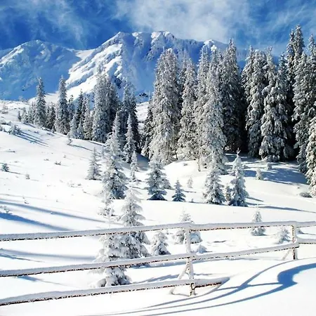 Drevenica Pensjonat 3*