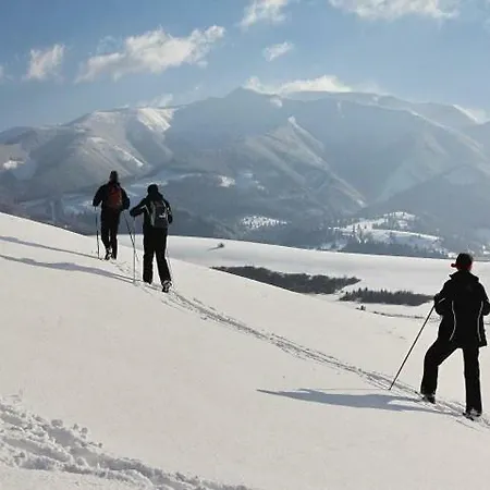 Pensjonat Drevenica Habówka